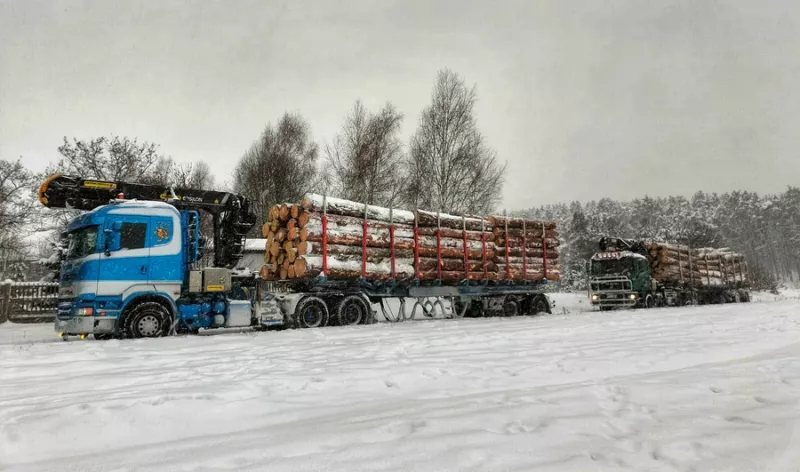 transport-drewna-11
