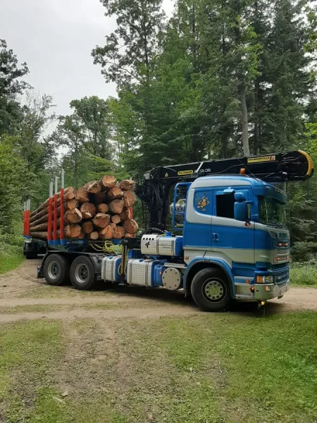 transport-drewna-13