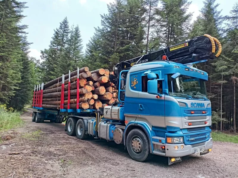 transport-drewna-35